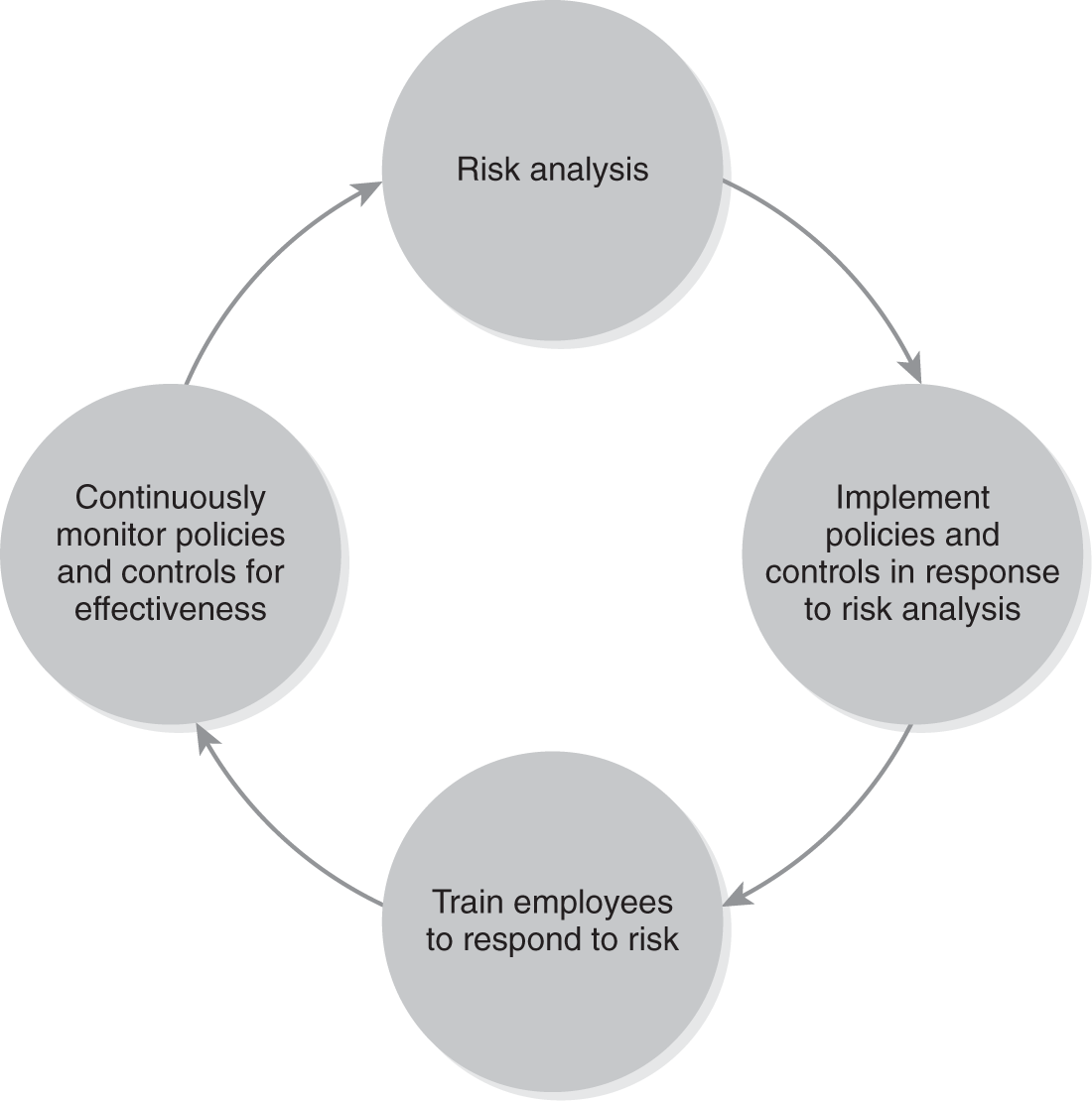 A cyclic diagram depicts the risk management process.