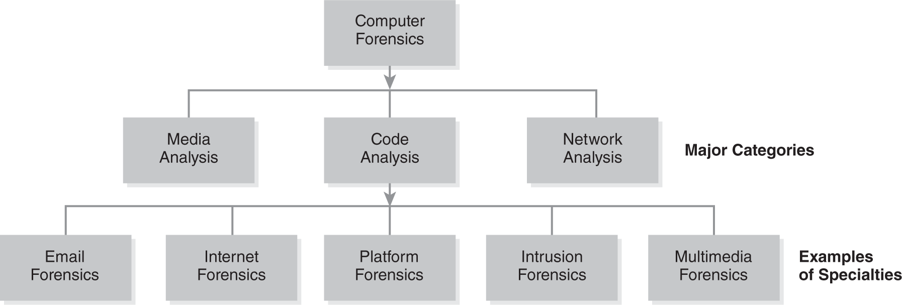 A diagram shows the different major computer forensic categories: media analysis, code analysis, and network analysis. Some examples include email forensics, internet forensics, platform forensics, intrusion forensics, and multimedia forensics.