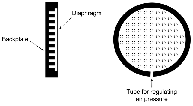 Figure 3.3 Diaphragm and backplate of a pressure transducer.