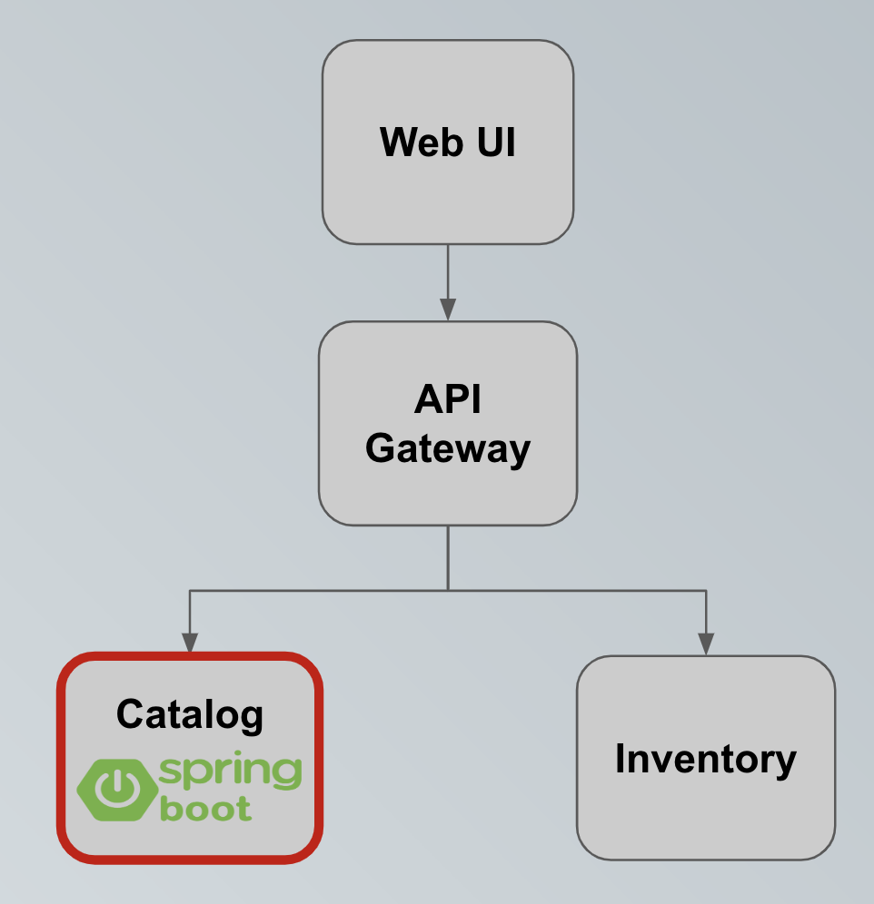 Figure 2-5: Catalog Spring Boot microservice