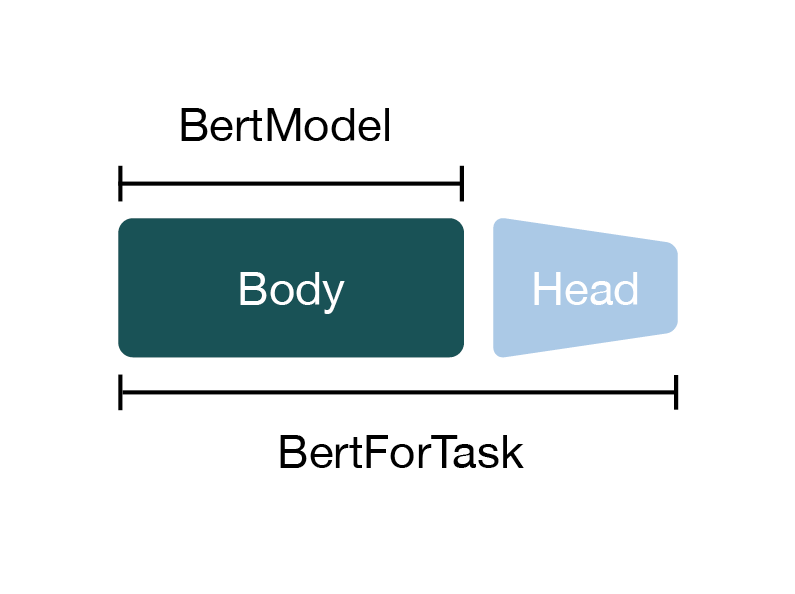 bert-body-head