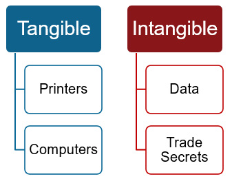 Figure 3.10 – Tangible and intangible assets