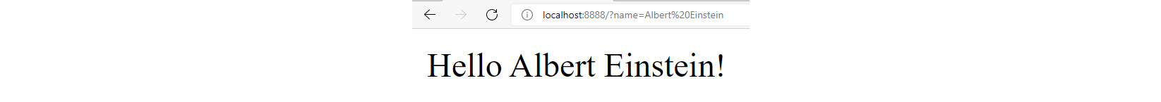 Figure 13.3: Browser message for name = Albert Einstein
