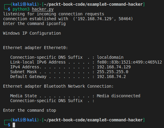 Figure 6.7 – Hacker executing a command on the victim
