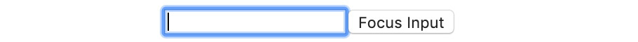 Figure 4.28: Input focused on a button click
