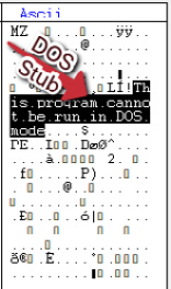 Figure 5.2 – The DOS stub in ASCII