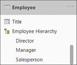 The figure shows the Employee table as seen in the Model view. Employee Hierarchy has a hierarchy icon next to it. Under its name are the three columns that form it: Director, Manager, and Salesperson.