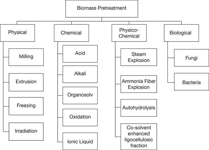 A classification diagram presents the various biomass pretreatment alternatives.