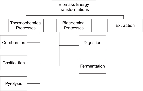 A classification of the biomass energy conversion process is shown.