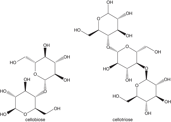 The chemical structures of two polysaccharides are shown.