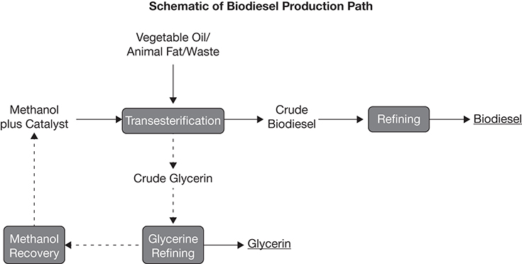 A flowchart represents the biodiesel process.