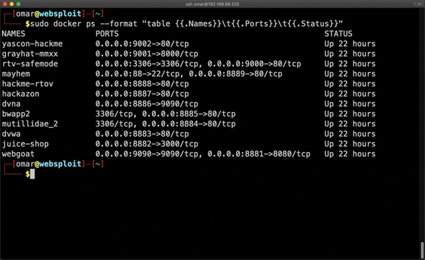 A screenshot of a command prompt window displays the result of the command: sudo docker ps. The results are tabulated under the column headers: names, ports, and status.