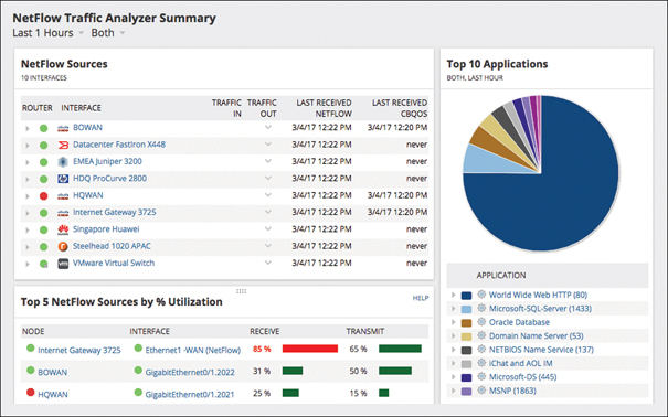 A screenshot shows the NetFlow Traffic Analyzer summary.