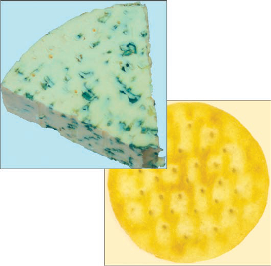 The image shows the cracker and cheese which intersect with each other.