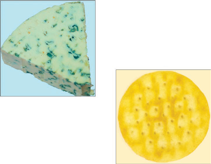 The image shows the cracker and cheese which does not intersect.
