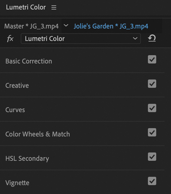 A screenshot of the Lumetri color panel is shown. The options listed are Lumetri color menu, Basic correction, Creative, Curves, Color wheels and match, HSL secondary, and Vignette. All the options are selected.