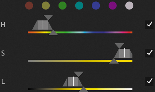 A screenshot of the Hue, Saturation, and Luminance controls section.