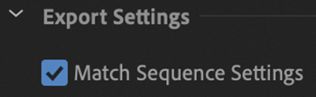 A screenshot of the section of Export settings menu with the Match Sequence Settings checkbox selected.