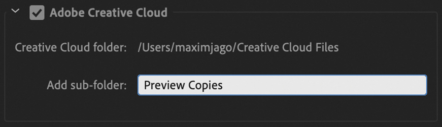 A screenshot of the Adobe Creative Cloud section is shown. The fields included in the section are checkbox Adobe Creative cloud (selected), Creative cloud folder, and Add sub-folder.