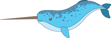 An illustration of a Narwhal is shown.