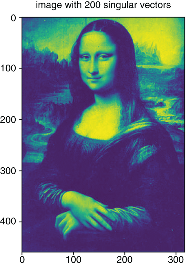 Graph depicts the reconstruction of the image in Figure 5.1 with the first 200 singular values.