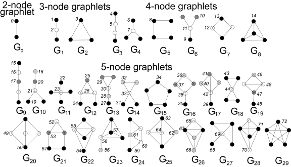Graphlets up to five vertices  or nodes  in sizeFrom  Uncovering Biological Network Function via Graphlet Degree Signatures  by Tijana Milenkovi and Nata a Pr ulj  licensed under CC BY 3.0 