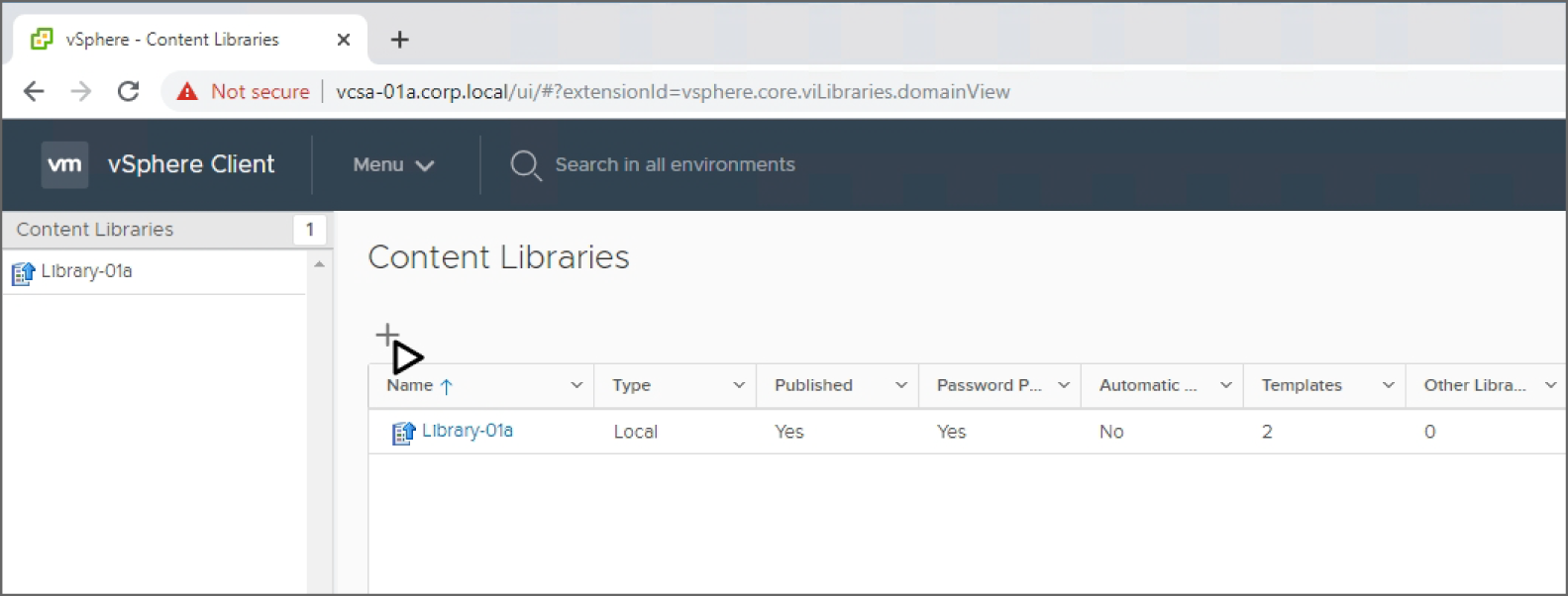 Snapshot of clicking the plus sign to launch the New Content Library wizard.