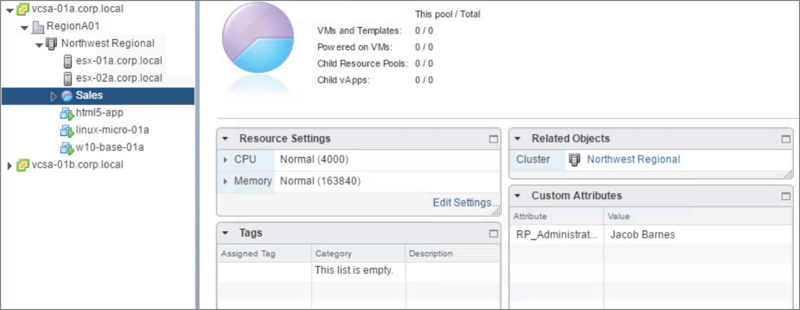 Snapshot of the summary page of the Sales resource pool showing the new custom attribute in the relevant panel.