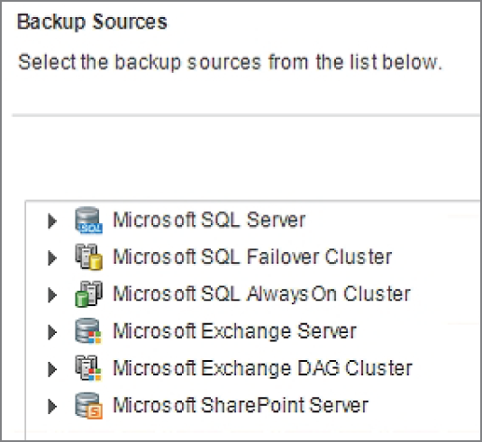 Snapshot of the application backup sources.