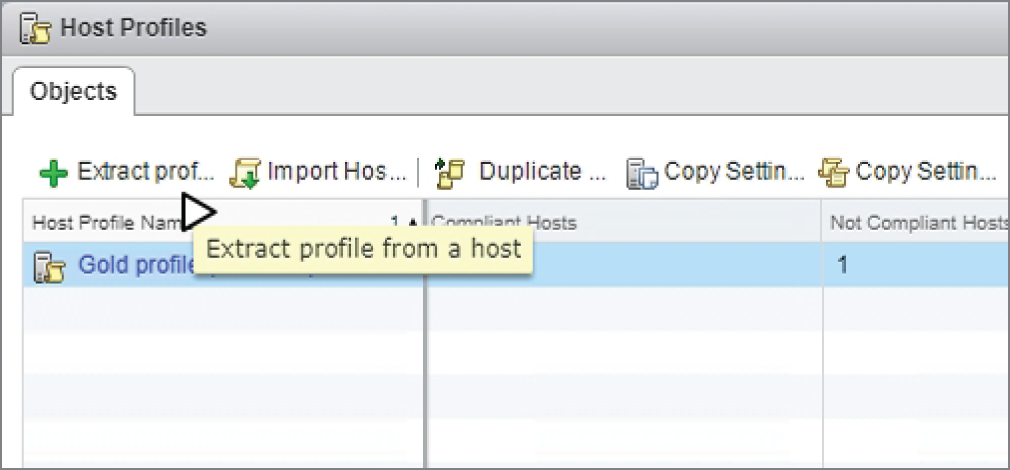 Snapshot of extracting a host profile.