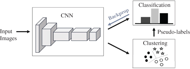 Schematic illustration of deep clustering. The deep features are iteratively clustered and the cluster assignments are used as pseudo-labels to learn the parameters of a CNN.