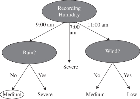 Schematic illustration of an example of a DT to show the humidity level at 9 a.m. when there is no rain.