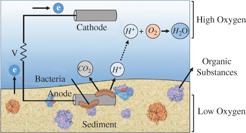 Schematic illustration of the microbial fuel cell concept describing that the bacteria remove electrons from organic material. The electrons flow through an anode and cathode. The battery-like structure and the two compartments are located in mediums with different O2 concentration.