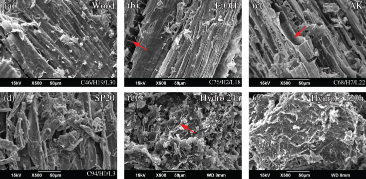 Photos depict the SEM images of substrate at different stages of pretreatment or hydrolysis.