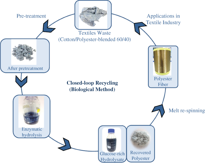 Schematic illustration of the system description of the biorecycling method.
