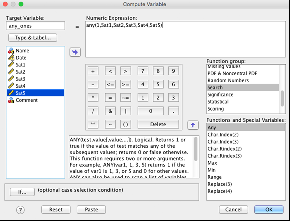 Screenshot of the Compute Variable dialog box displaying the completed ANY function with all the Sat variables (Sat1, Sat2, Sat3, Sat4, and Sat5).