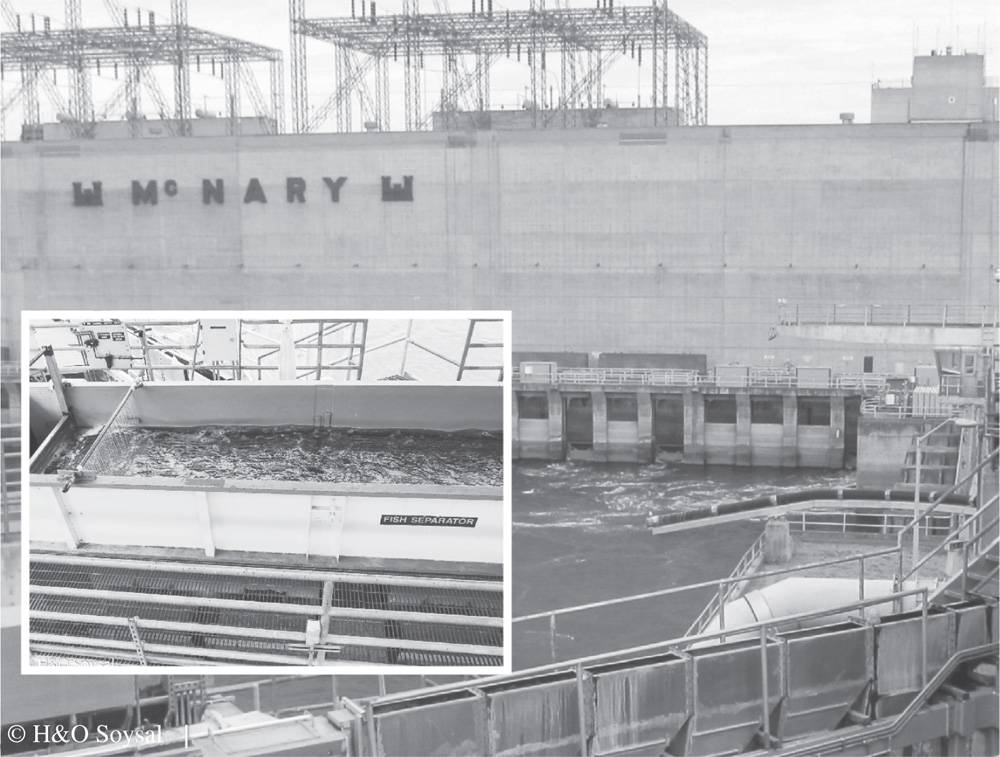 Photo depicts the fish separation facility at McNary Dam, Oregon.