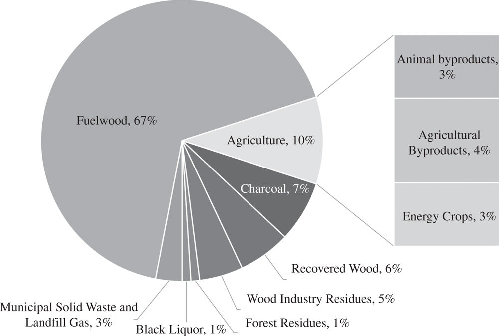 Pie chart depicts the share of various sources of biomass in the primary bioenergy mix.