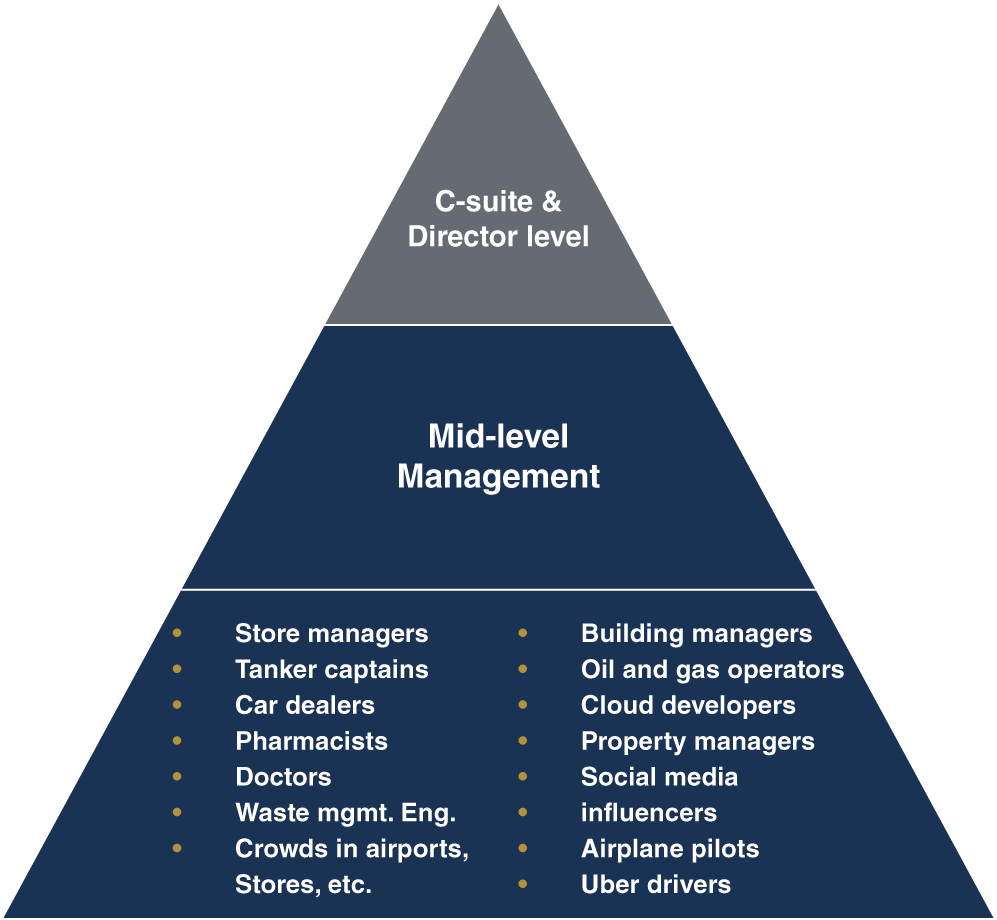 Pyramid chart depicts the hierarchy of contributors.