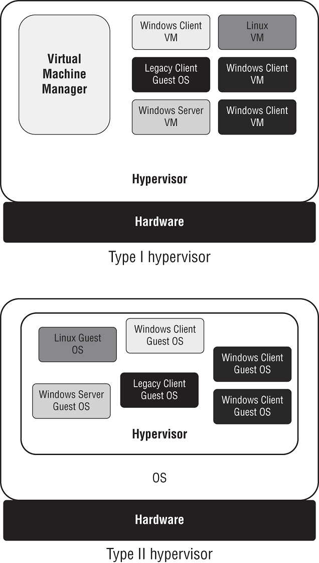 Schematic illustration of types of hypervisors.