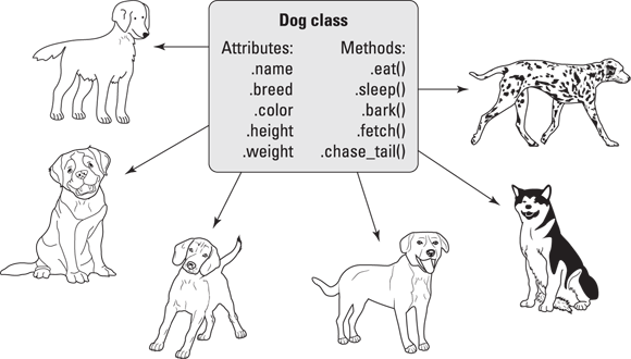 Snapshot of the Dog class creates many unique dogs.