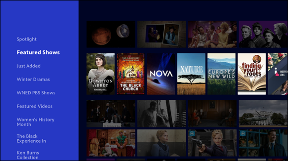 Snapshot of PBS Video gives you free access to all your favorite PBS shows.