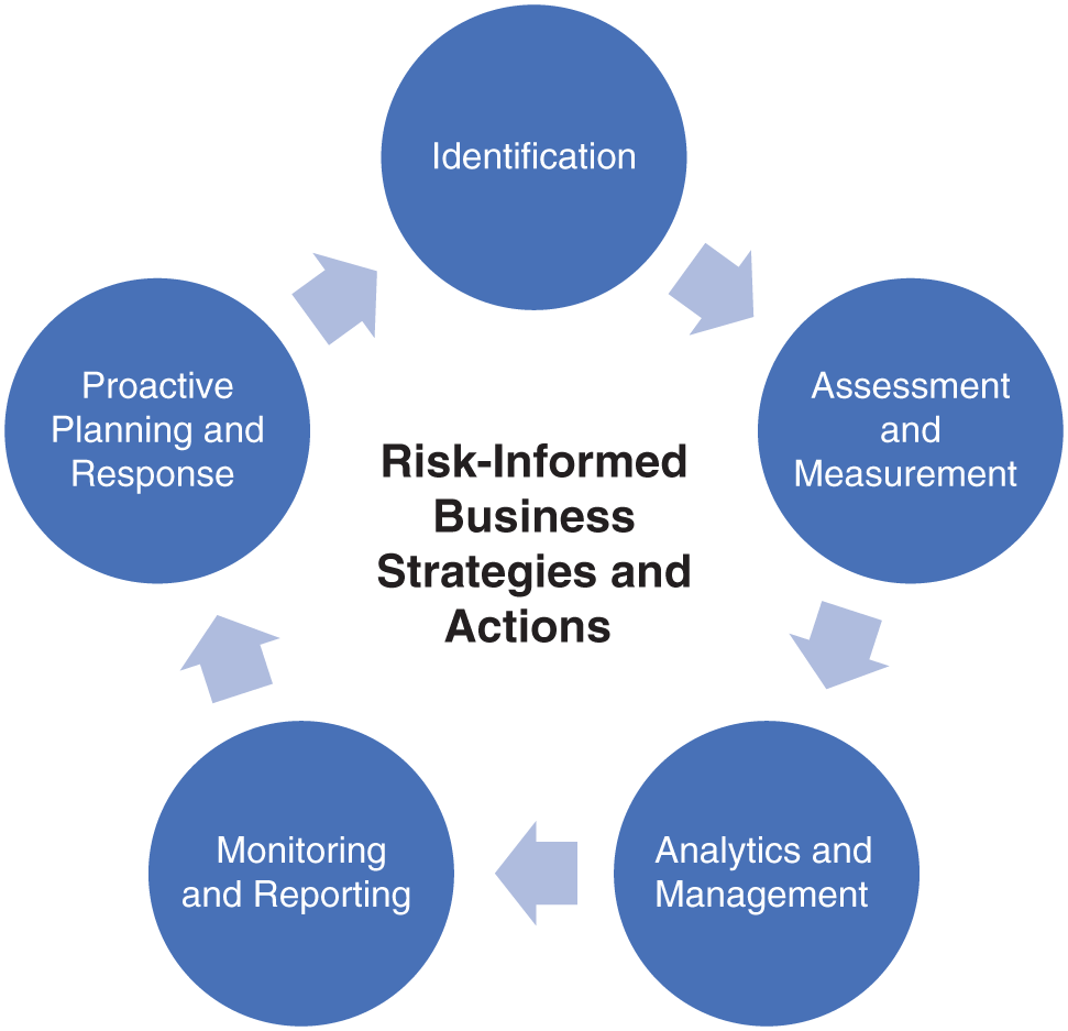 Schematic illustration of the Risk Process.
