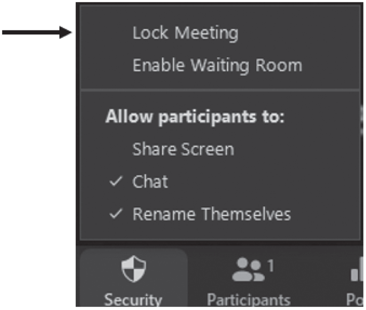 Snapshot of clicking the lock meeting option.