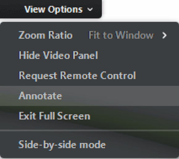 Snapshot of choosing annotate option from the view options.