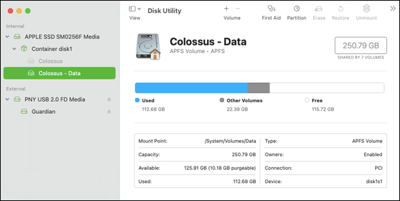 Snapshot of the physician of drives: the Big Sur Disk Utility.