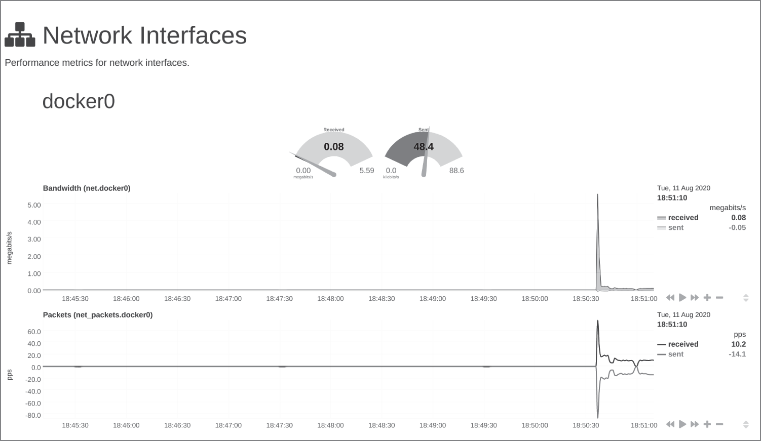 Snapshot of the networking information showing the docker0 network interface.