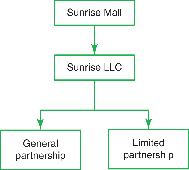 Schematic illustration of the multiple and layered ownership structure.