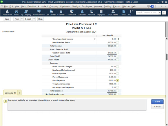Screenshot displaying the profit and loss report of a company, with the Comments panel displayed.