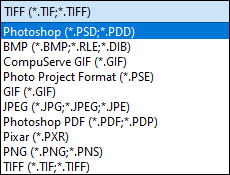 Snapshot of the drop-down list of file formats that Elements supports.